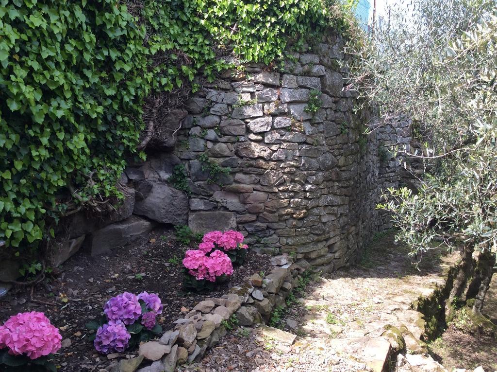 Casa Vacanze Ada Fiesole Exteriér fotografie
